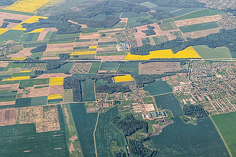 Лукашэнка адобрыў комплексныя папраўкі ў Кодэкс аб зямлі