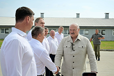 为什么不加快这个进程？卢卡申科就养山羊问题提出原则性问题