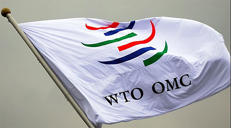 WTO问题国家中心计划于2020年前在白罗斯建立