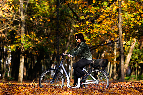 新的生态路线，自行车旅行和免费乘车—明斯克的欧洲机动周