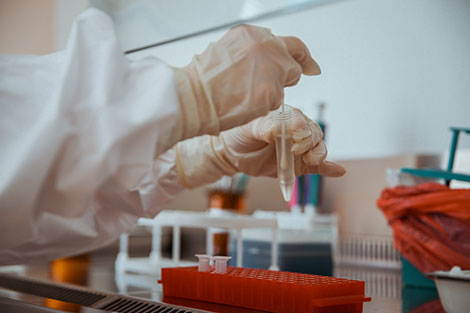 白罗斯71,999名COVID-19患者康复出院