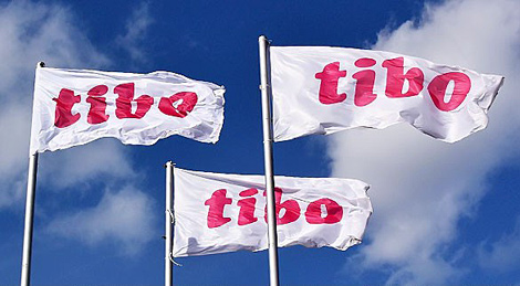 欧亚经委会将在“Tibo-2019 ”上展示欧亚经济联盟数字化议程项目