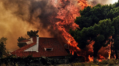 卢卡申科对希腊火灾造成人员伤亡表示慰问