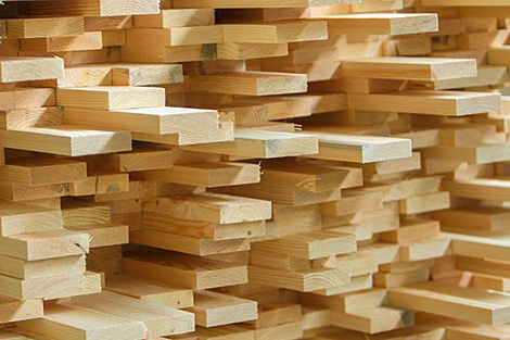中国企业准备通过白俄大宗产品交易所增加对白俄罗斯木材的采购