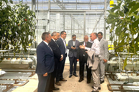 白俄罗斯国家生物技术公司、温室种植综合体与农业机械：利比亚代表团眼中的白俄农业亮点