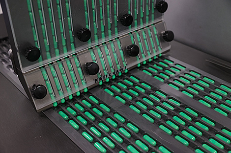 制药、旅游、医疗：白俄罗斯与斯里兰卡确定优先合作领域