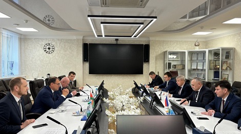 白俄罗斯和巴什科尔托斯坦计划发展能源领域合作