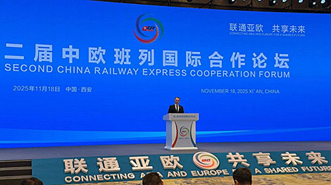 利亚赫诺维奇：白俄罗斯是中欧集装箱货运通道的可靠枢纽