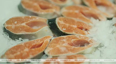 还记得卢卡申科品尝白俄罗斯鳟鱼的场景吗？一起来探访它的生产过程