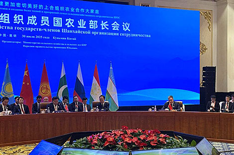戈尔洛夫：白俄罗斯愿与上合组织国家分享农业工业综合体经验，加强合作