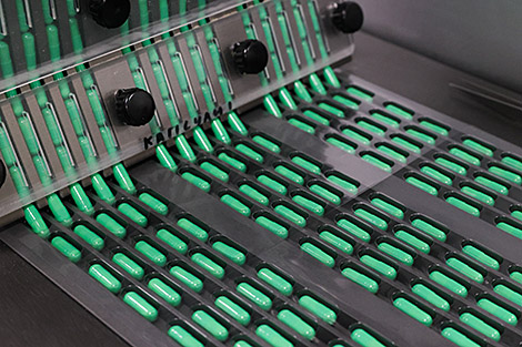 机械、农业、制药：阿尔及利亚希望与白俄罗斯在哪些领域开展合作