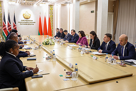 议会间合作、经济—在共和国院会见肯尼亚议会议长