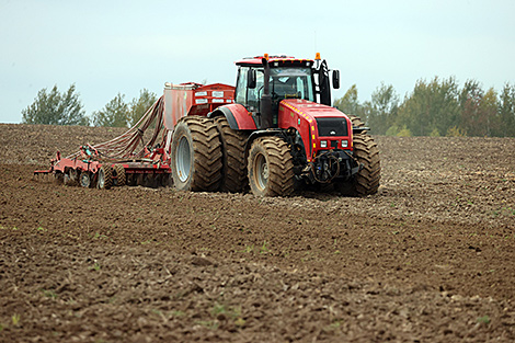 “我们必须日夜操劳”—卢卡申科要求农民按时完成秋季田间劳动