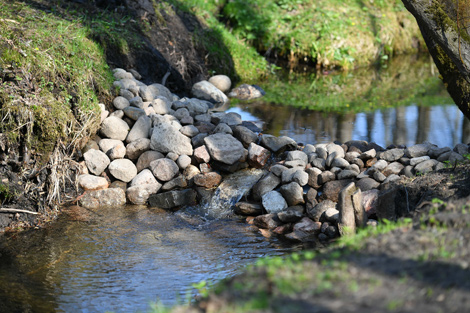 Lukashenko takes part in Belarus’ National Clean-Up Day