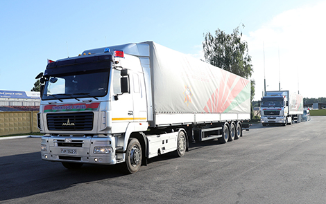 Беларусь окажет Сирии гуманитарную помощь более чем на Br1 млн