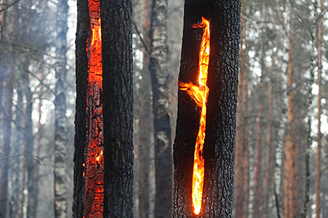 Авиация МЧС продолжает оказывать помощь в тушении лесных пожаров в Турции