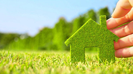 Проект по созданию сети зеленых школ стартует в Беларуси