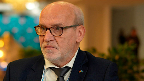 German observer: European Commission planned to dismiss Belarus' election as 'sham' in advance