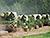 Belarus president to observe Zapad 2017 exercise near Borisov on 20 September