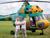 Belarus 2nd at 2018 FAI World Helicopter Championship