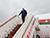 Lukashenko arrives in Moscow for talks with Putin
