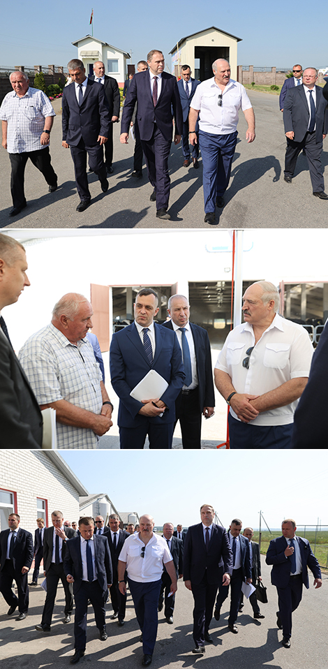 Lukashenko outlines key aspects in development of small districts
