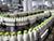 Lukashenko calls for efforts to ensure profitable food exports