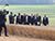 Lukashenko: Timely harvesting is crucial for country’s food security