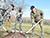 Focus on good land management in Belarus explained