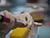 Lukashenko signs decree to implement project to create Belarus’ COVID-19 vaccine
