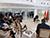 Lukashenko answers questions from foreign, Belarusian media