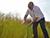 History and prospects of linen industry in Belarus