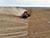 Lukashenko wants winter crops sown within one week