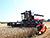 Lukashenko inspects progress in harvest campaign