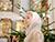 Lukashenko extends Christmas greetings to Eastern Orthodox Christians