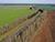 Lukashenko inspects fields in Vitebsk Oblast, Mogilev Oblast