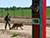 Lukashenko sends Border Guard Day greetings to border guard community