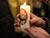 Lukashenko wishes Happy Easter to Belarusian Catholics