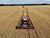 Lukashenko optimistic about grain harvest prospects this year