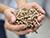 Why Lukashenko has high hopes on wood biofuel production