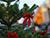 Lukashenko sends Christmas greetings to Belarusians