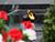 2022 announced Year of Historical Memory in Belarus
