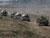 Zapad 2017 army exercise kicks off 14 September