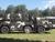 Belarusian MLRS Polonez among world’s best in 2017