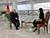 Lukashenko: War in Ukraine was avoidable