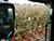 Lukashenko starts working trip to Gomel with instructions on agriculture