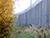 Lukashenko comments on migrant crisis on Belarus-EU border