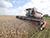 Lukashenko lauds farmers for great results amid challenging season