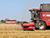 Lukashenko hears Vitebsk Oblast governor’s report on harvest, processing, personnel