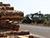 Lukashenko: Gomel Oblast should be put to rights